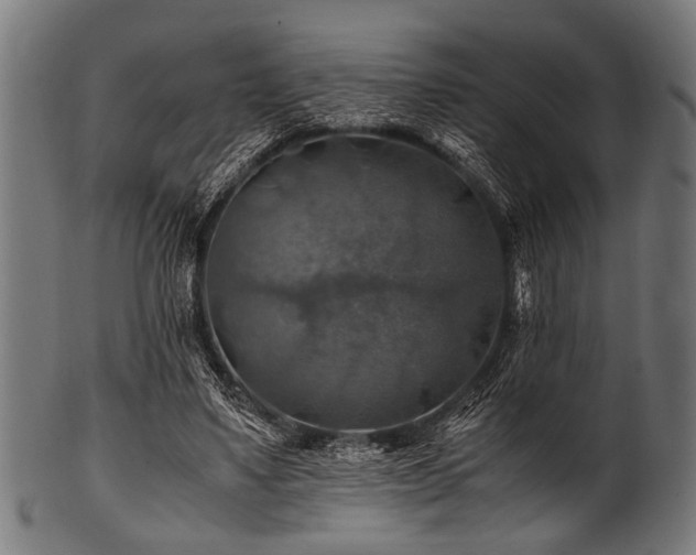 X0000100950491200806241507