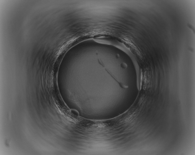 X0000100950492200806241507