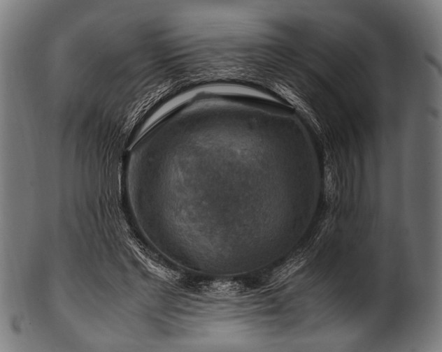 X0000100950493200806241507