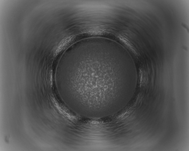 X0000100950494200806241507