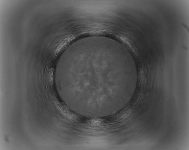 X0000100950495200806241507