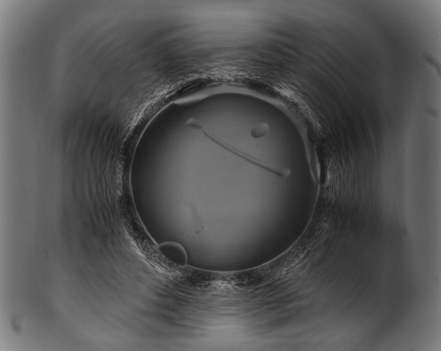 X0000100950496200806241507