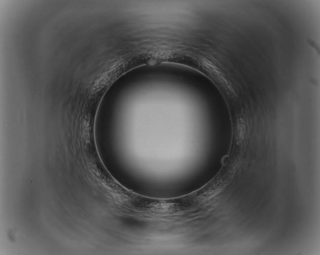 X0000100950497200806241507