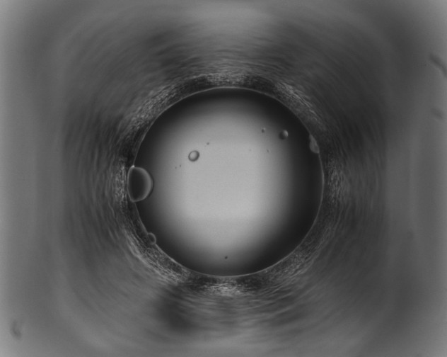 X0000100950498200806241507