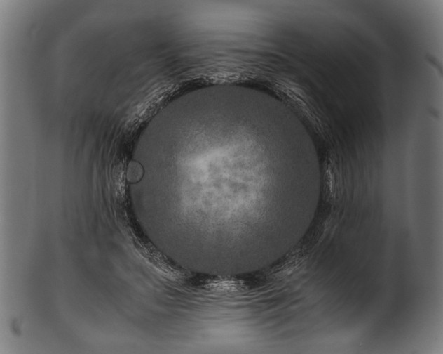 X0000100950499200806241507