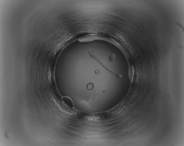 X0000100950500200806241507