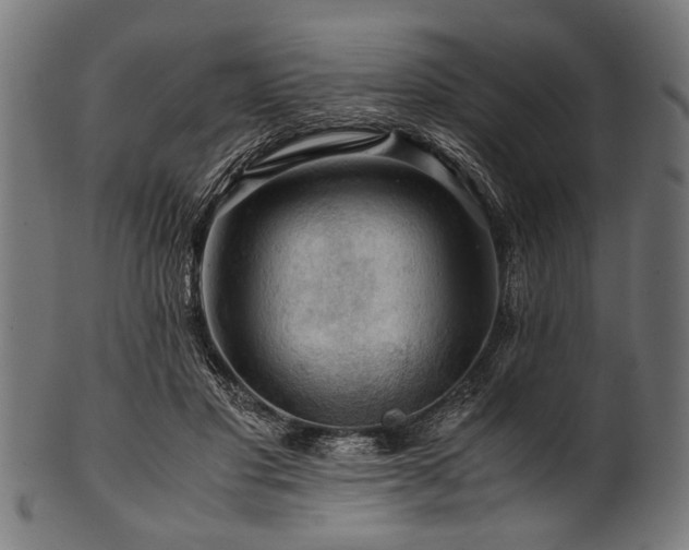 X0000100950501200806241507