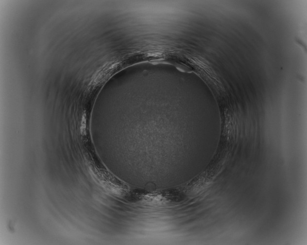 X0000100950502200806241507