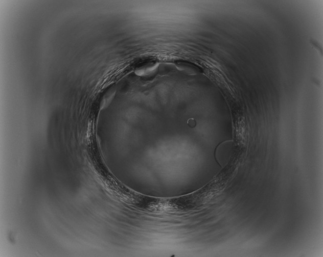 X0000100950503200806241507