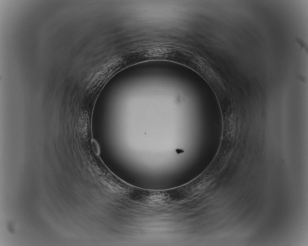 X0000100950505200806241507