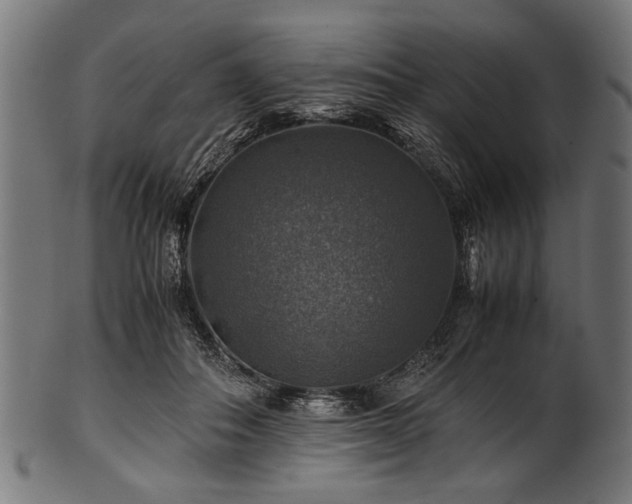 X0000100950506200806241507
