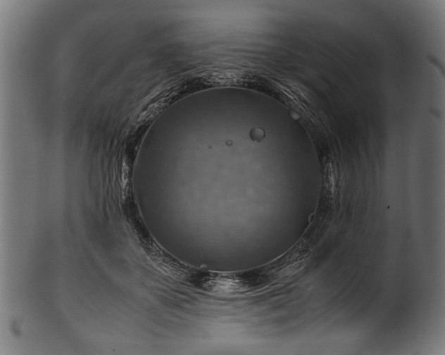 X0000100950507200806241507