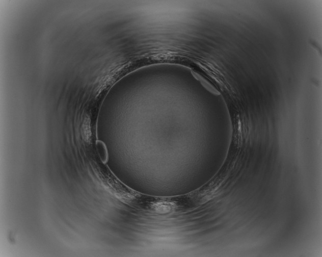 X0000100950508200806241507