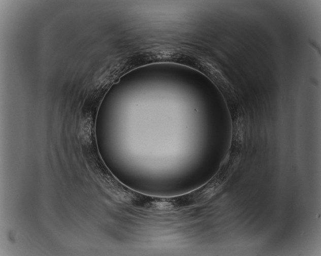 X0000100950509200806241507
