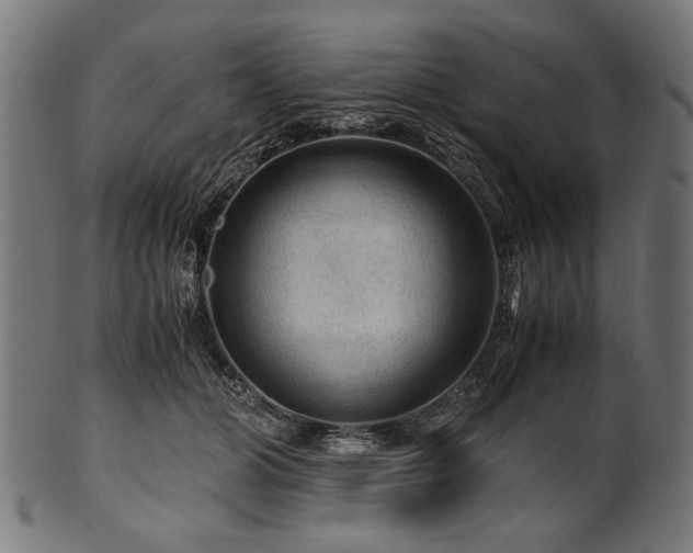 X0000100950510200806241507