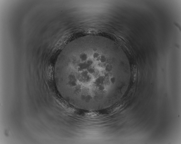 X0000100950511200806241507