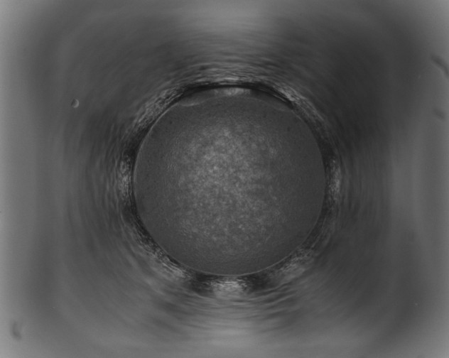 X0000100950513200806241507