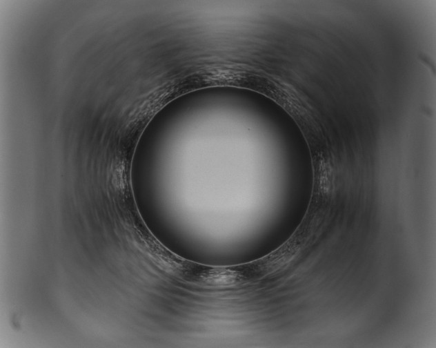 X0000100950514200806241507