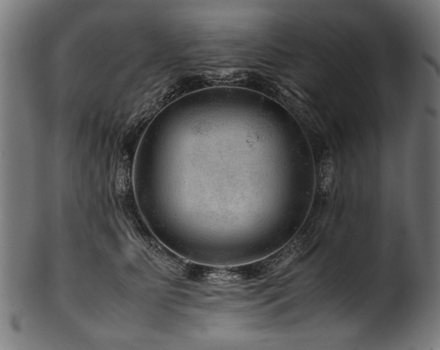 X0000100950515200806241506