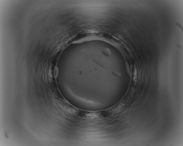 X0000100950516200806241506