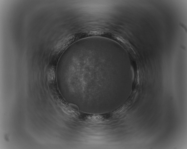 X0000100950517200806241506