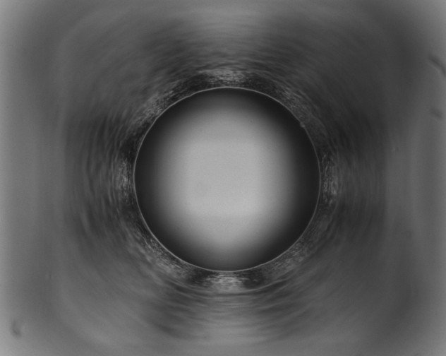 X0000100950518200806241506