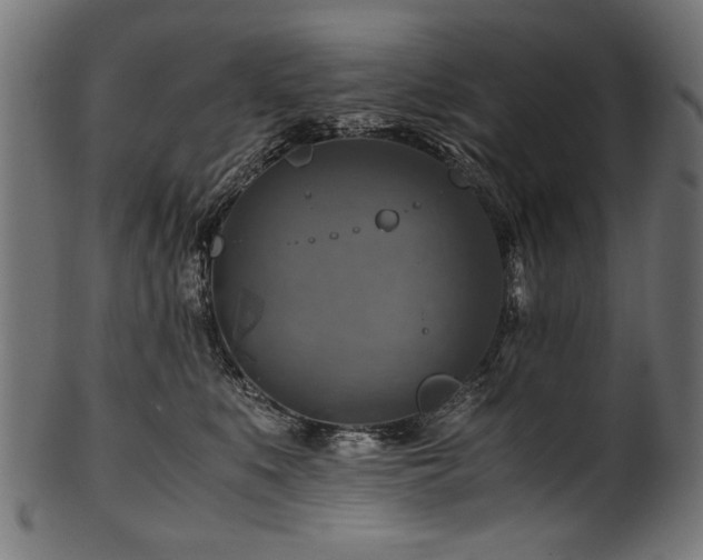 X0000100950519200806241506