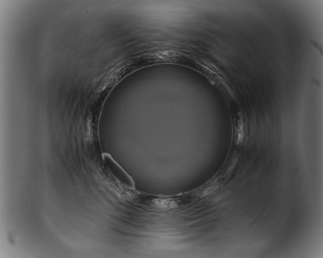 X0000100950520200806241506