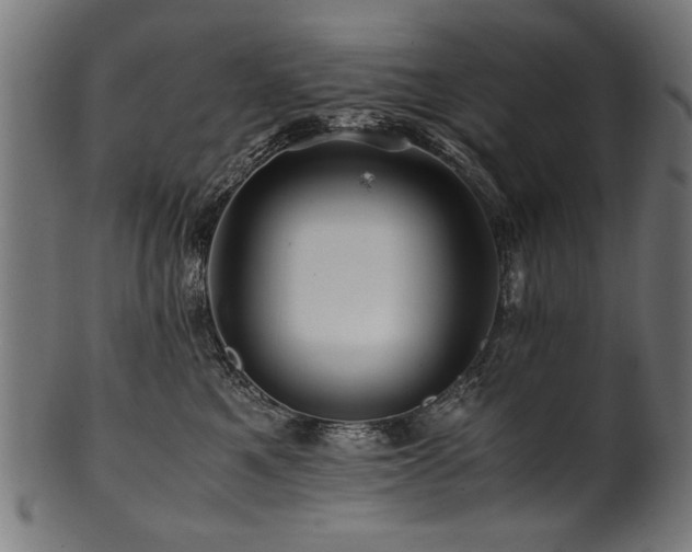 X0000100950521200806241506