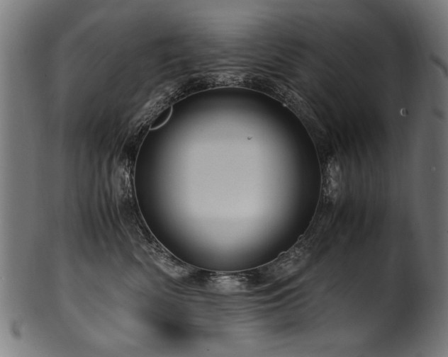 X0000100950522200806241506