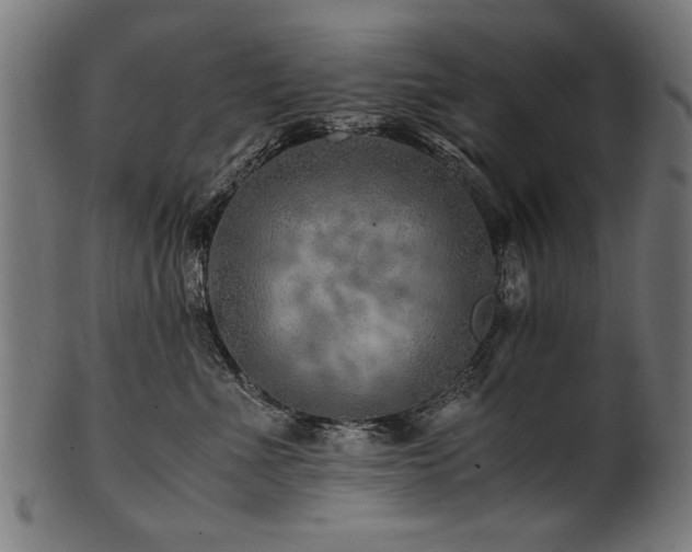 X0000100950523200806241506