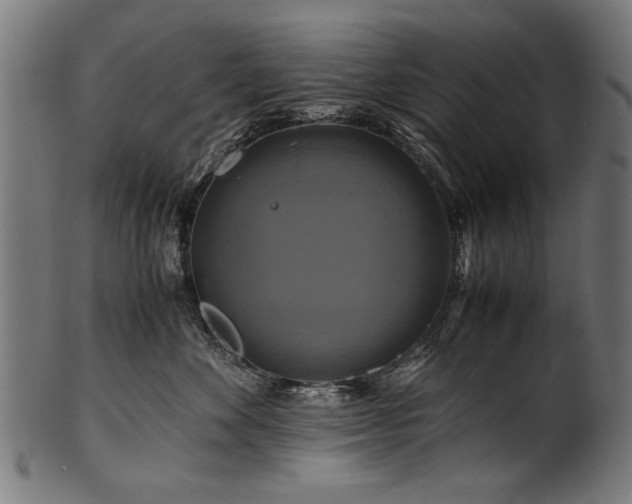X0000100950524200806241506