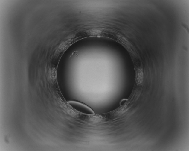 X0000100950525200806241506