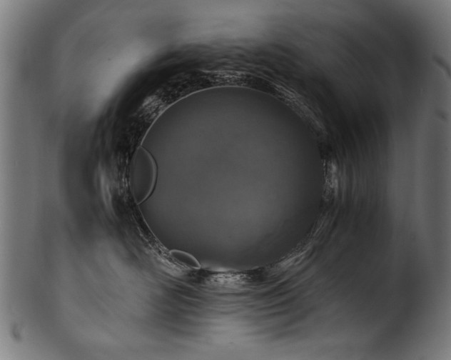 X0000100950526200806241506