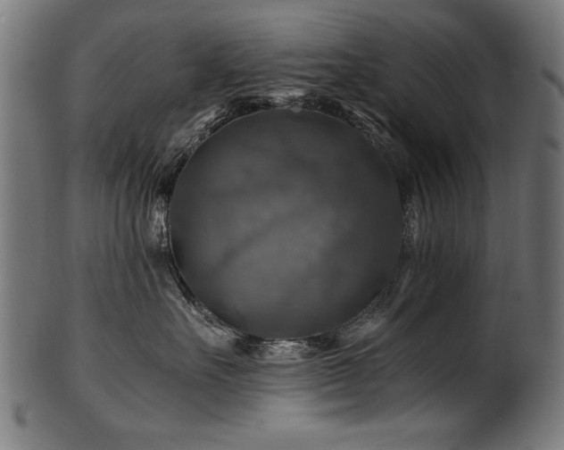 X0000100950527200806241506