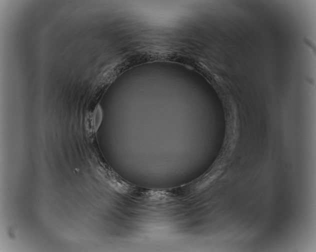 X0000100950528200806241506