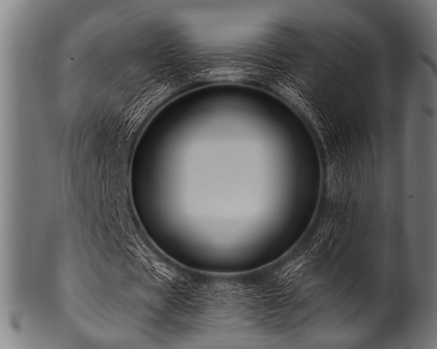 X0000100950529200806241506