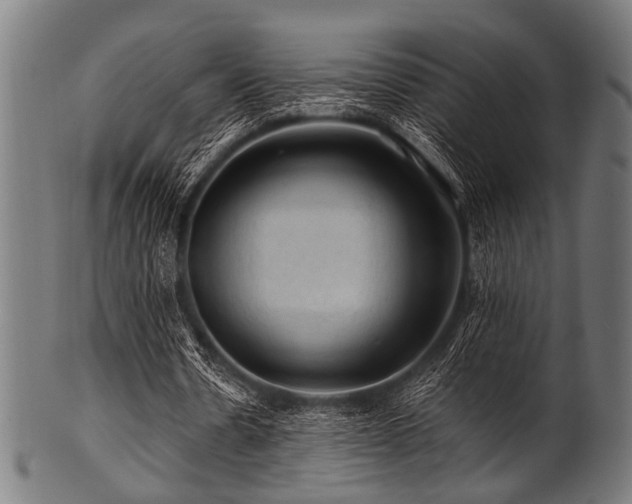 X0000100950530200806241506