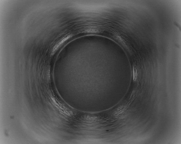 X0000100950531200806241506