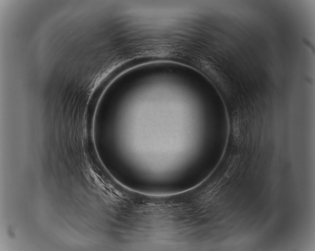 X0000100950532200806241506