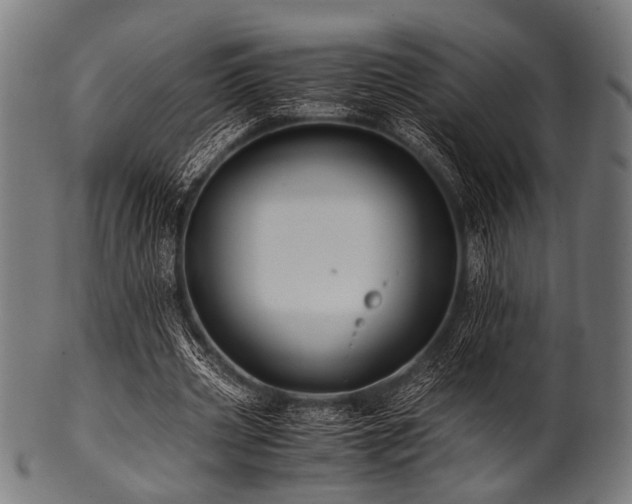X0000100950533200806241506