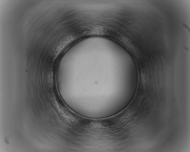 X0000100950534200806241506