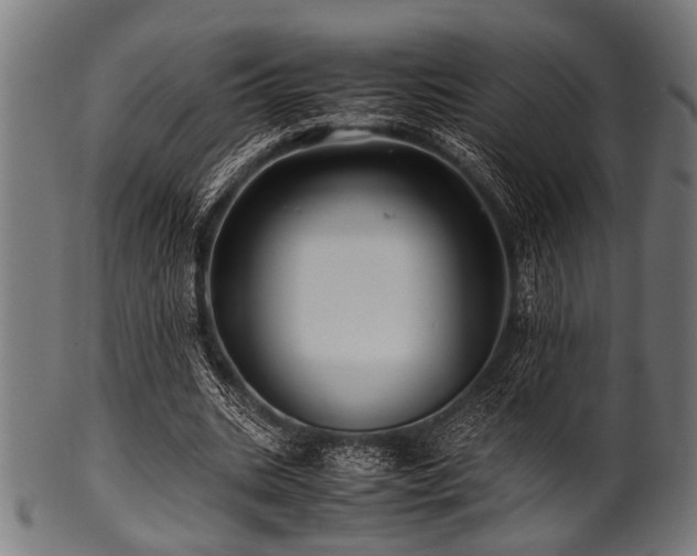 X0000100950535200806241506