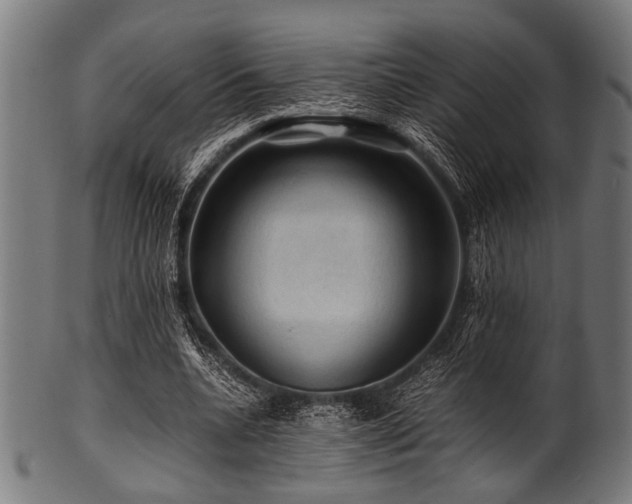 X0000100950536200806241506