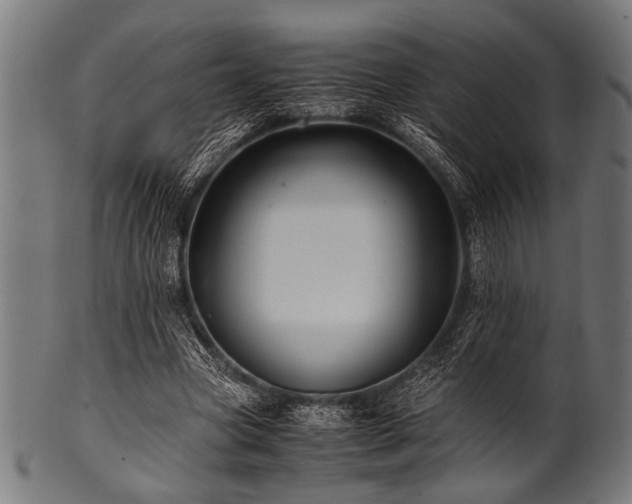 X0000100950537200806241506