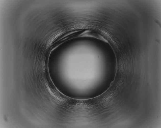 X0000100950538200806241506