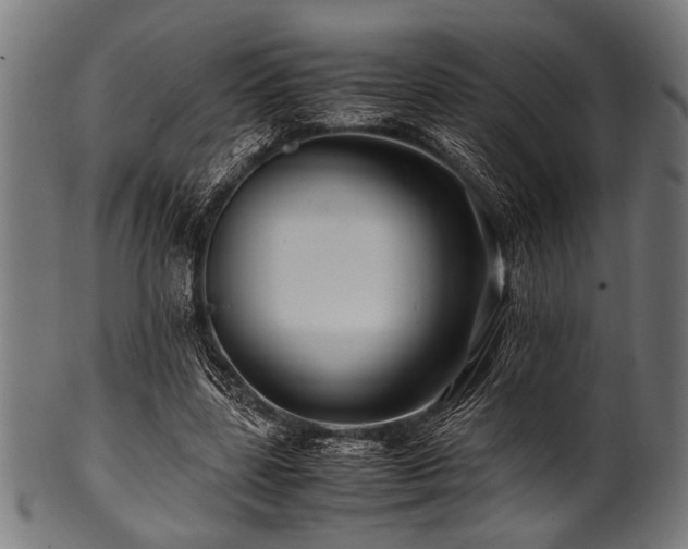 X0000100950539200806241506