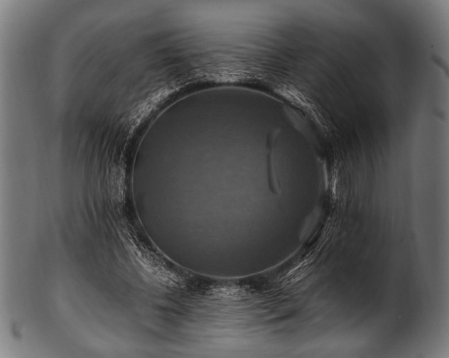 X0000100950540200806241506