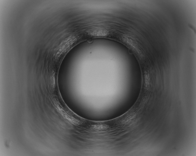 X0000100950541200806241506