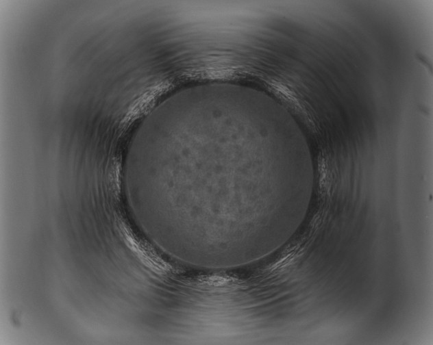 X0000100950542200806241506